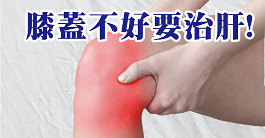 膝蓋不好要治肝!
