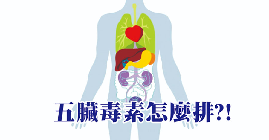 五臟毒素怎麼排？