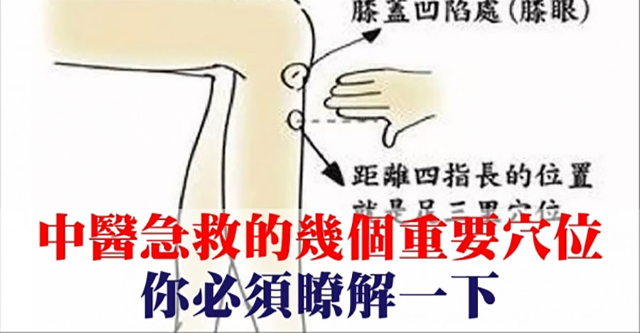 中醫急救穴位