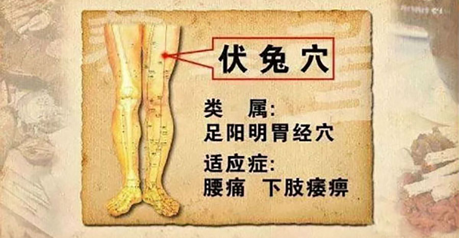 膝蓋冷，腿發涼，按壓伏兔穴