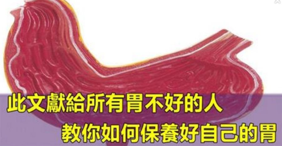 怎樣保養自己的胃