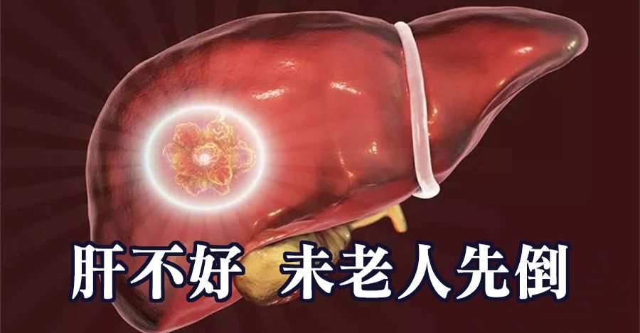 肝不好，未老人先倒