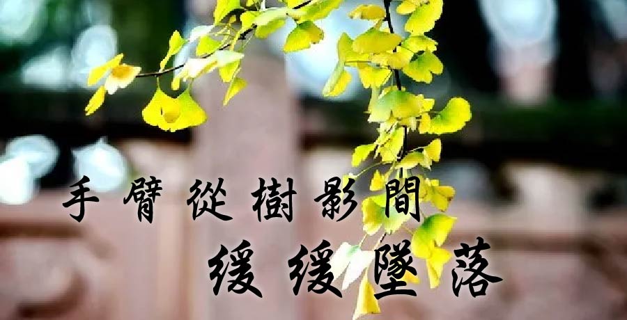 海瀾 | 手臂從樹影間緩緩墜落