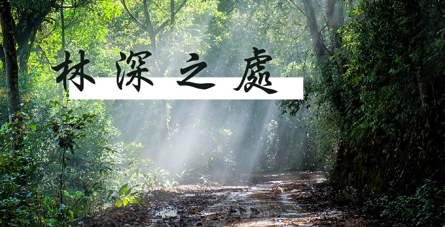 如夢小集 | 林深之處