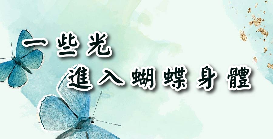 楊優 | 一些光，進入蝴蝶身體