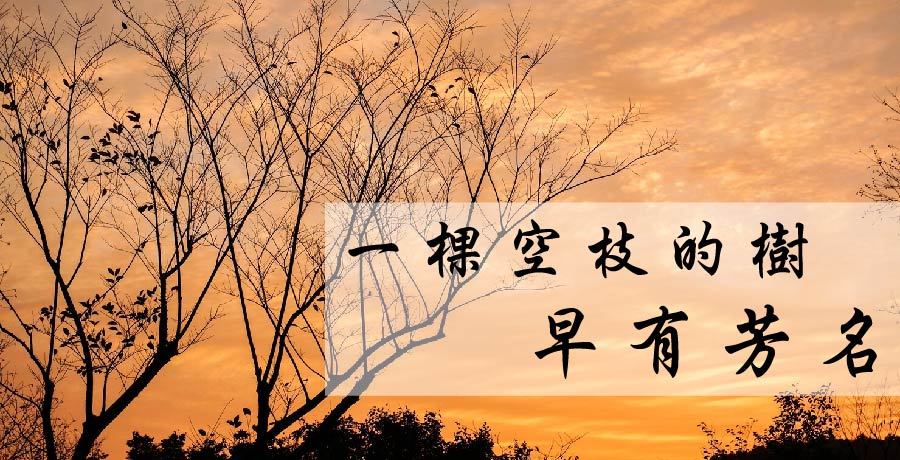 清秋 | 一棵空枝的樹早有芳名