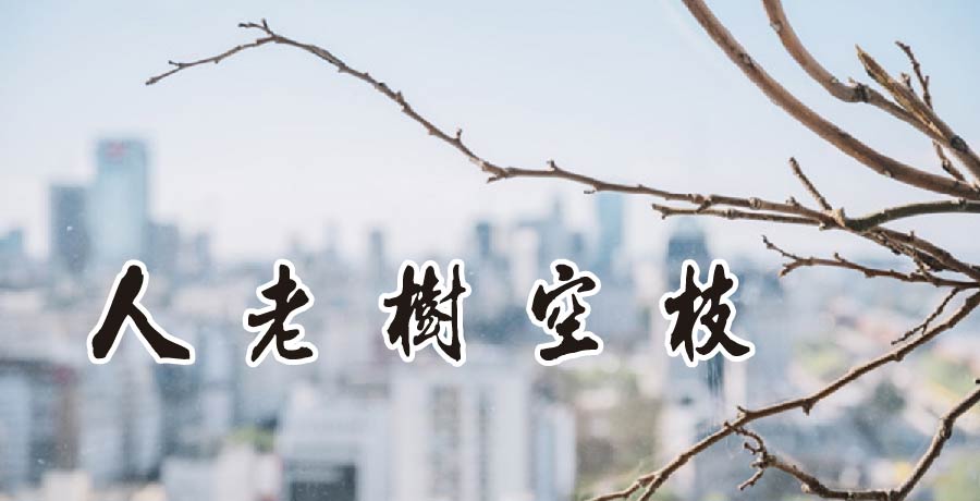 無語丨誰知春去后，人老樹空枝