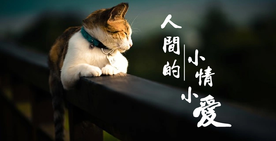 愛麗絲 | 人間的小情小愛慢慢伸出來