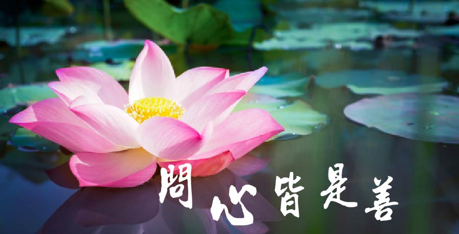 問心皆是善，向遠卻非鷗——許鐵軍先生詩十六首