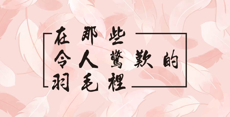 秀春 | 在那些令人驚歎的羽毛裡