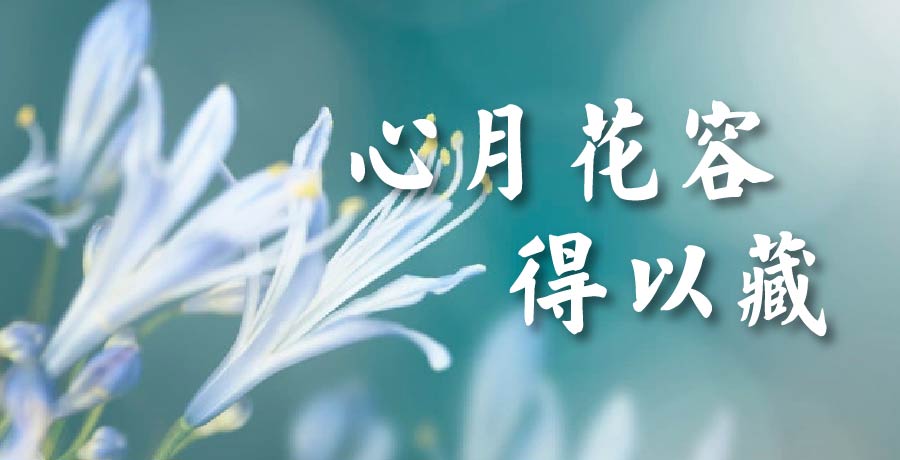 夕力丨閑花一朵憑秋月，心月花容得以藏