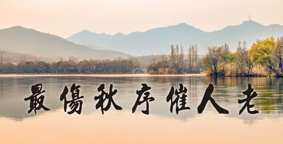 清荷丨最傷秋序催人老，便是浮生不惑時