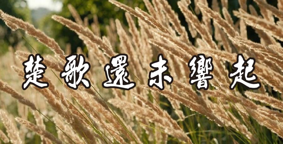 農夫阿杜 | 楚歌還未響起