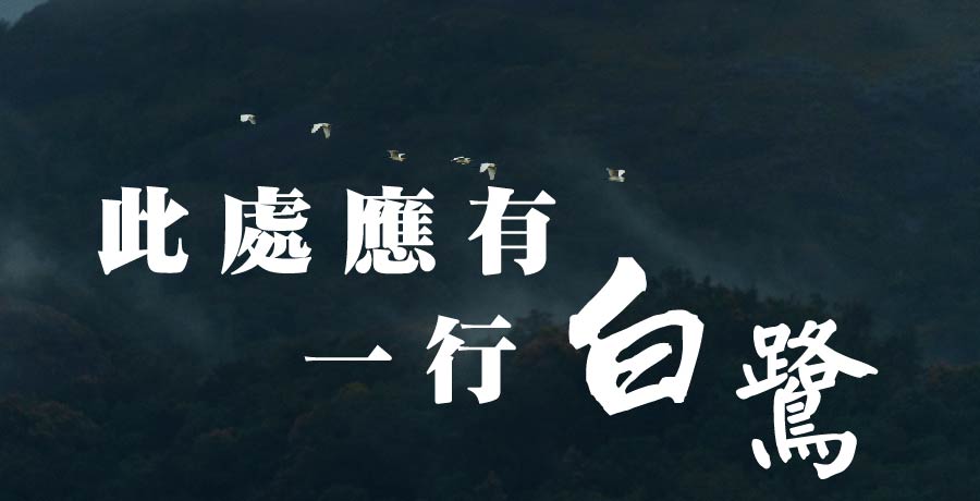 周漁 | 此處應有一行白鷺