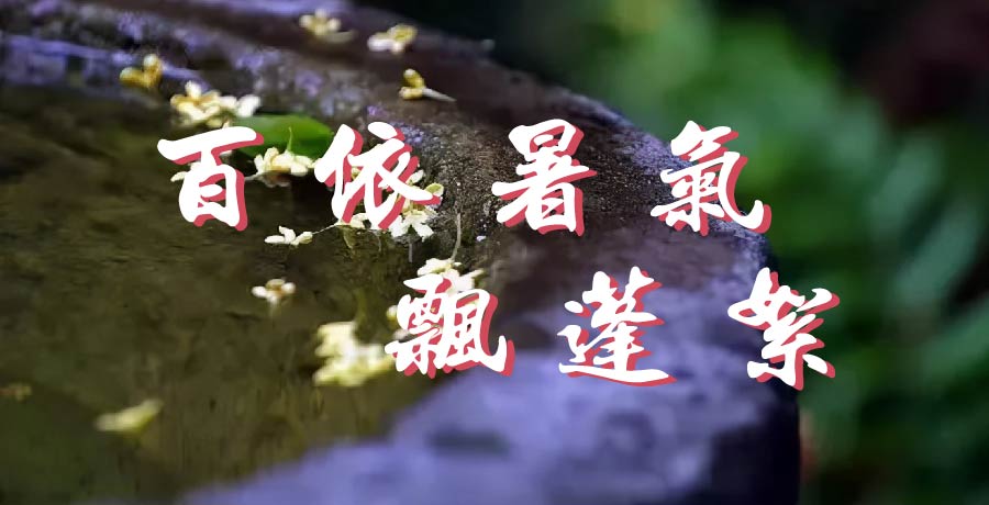 小欣丨百依暑氣飄蓬絮，一任薰吹猶自憐