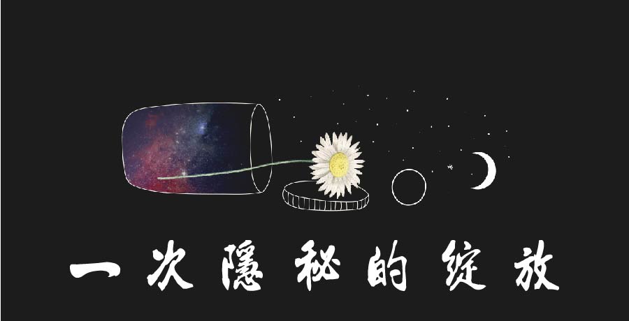 曾友田 | 空洞的夜晚 一次隱秘的綻放