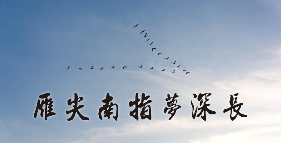 月傾城丨客里北望雲漸遠，雁尖南指夢深長