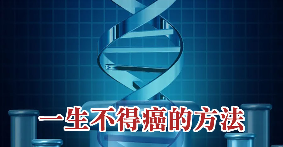 一生不得癌的方法