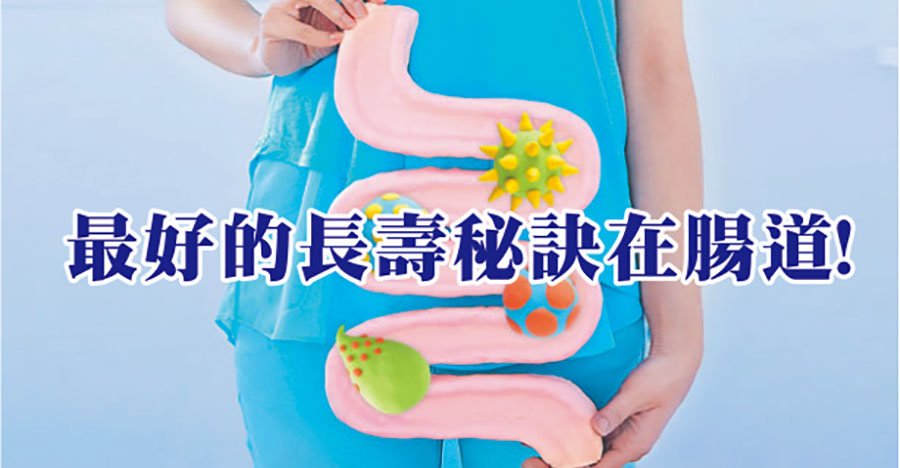 最好的長壽秘訣在腸道！