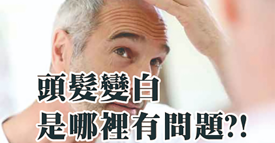 頭髮變白！是哪裡有毛病?
