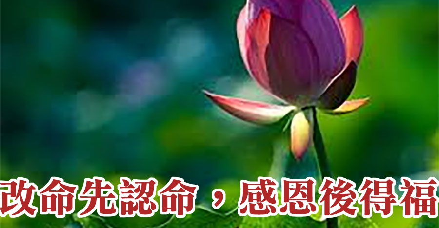 改命先認命，感恩後得福