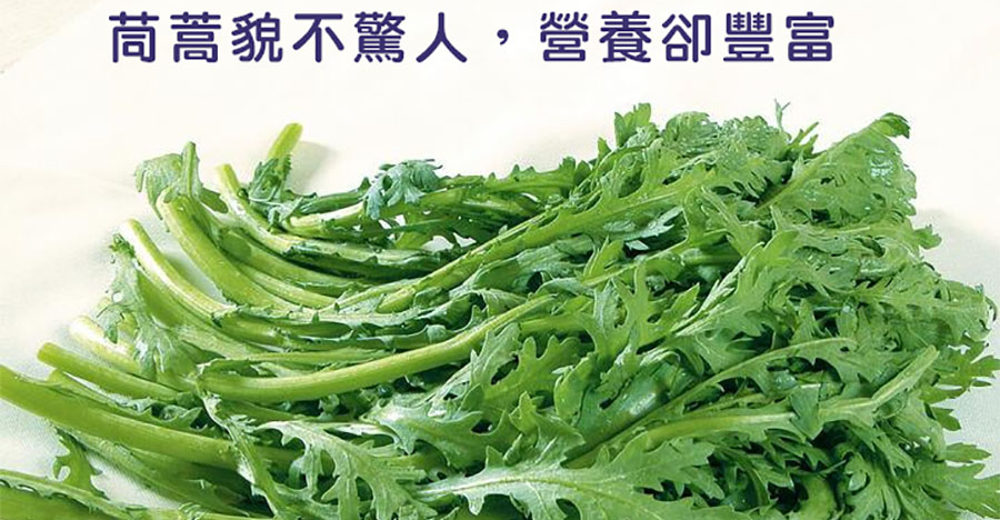 茼蒿貌不驚人，營養卻豐富