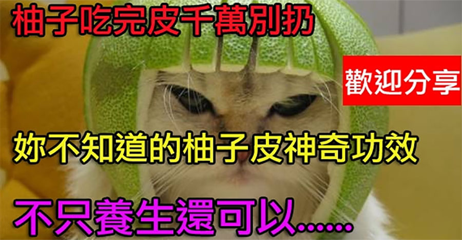 柚子皮可治療的病