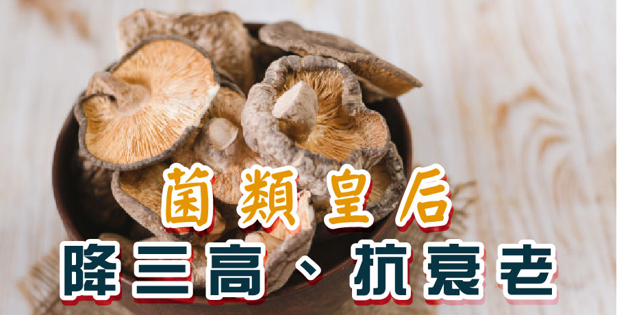 菌類皇后，降三高、抗衰老