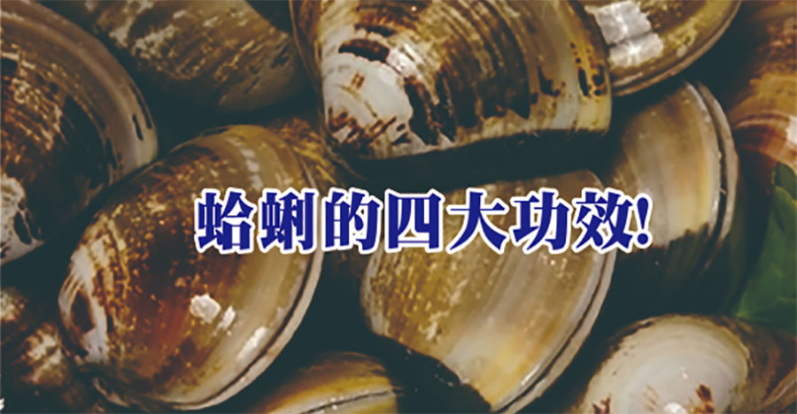 蛤蜊的四大功效！