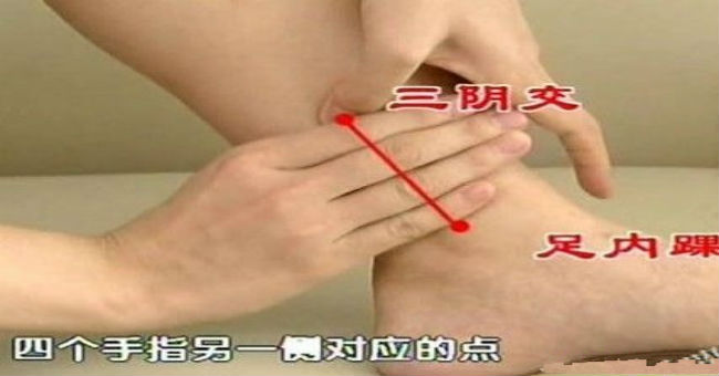 三陰交