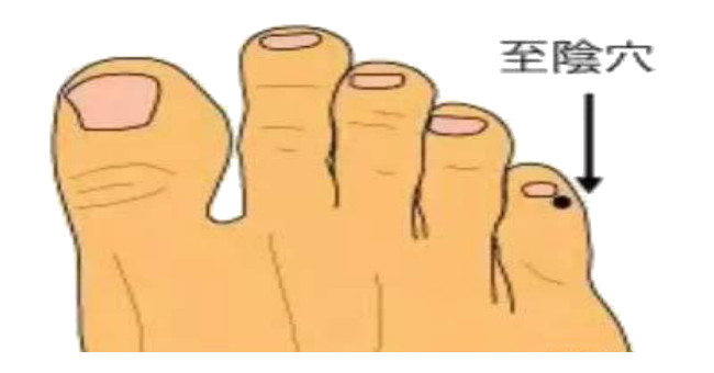 至陰穴