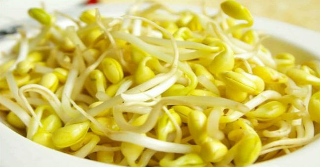 豆芽