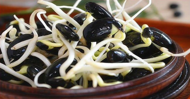 黑豆芽