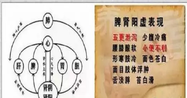 脾胃陰虛