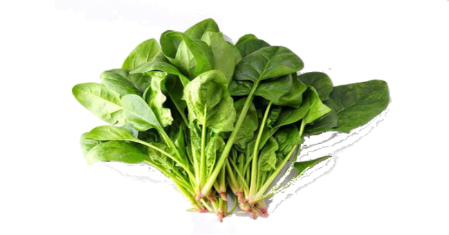 菠菜