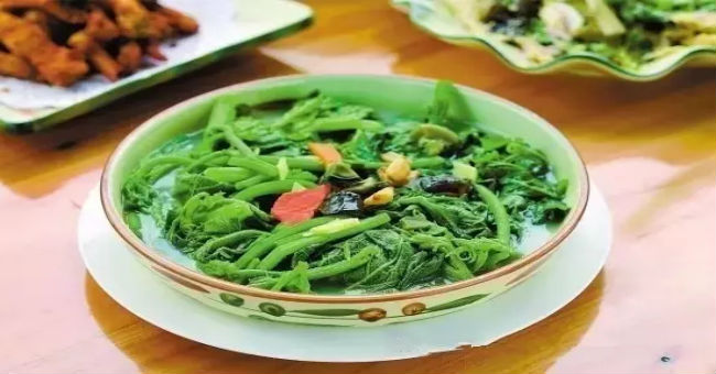 南瓜苗