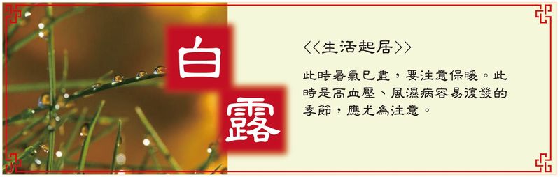 白露