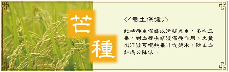 芒種